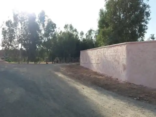 ٍٍVaste étendue de terres agricole en vente – Es Saada, Marrakech – 15 000 000 DH — photo 4