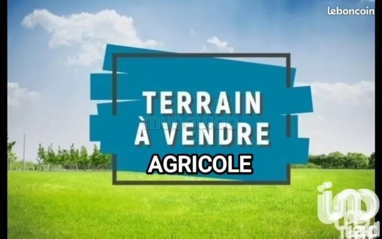 Terrain 1,2 ha à vendre à Marrakech – 1 100 000 DH — photo 1