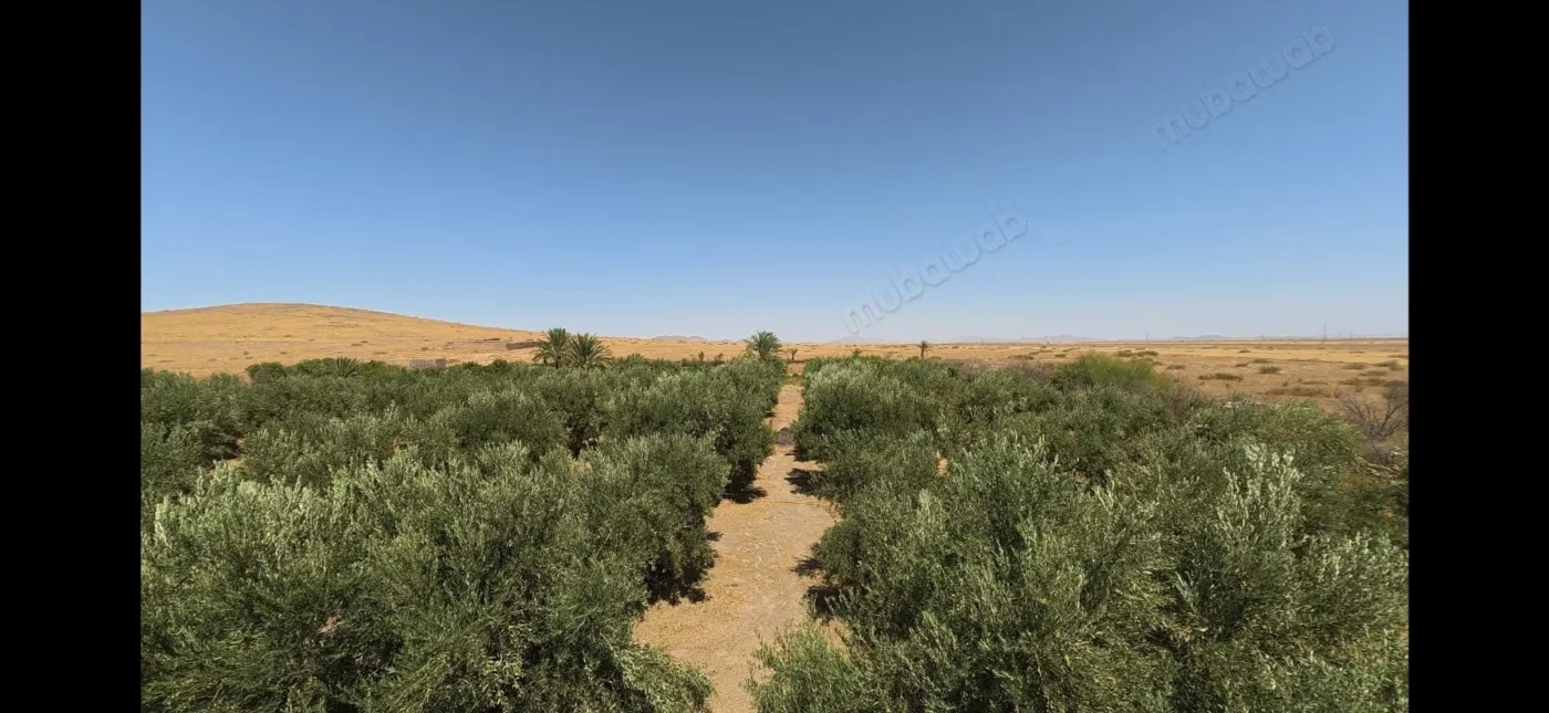 Terrain 10 800 m² à vendre à Marrakech – 180 000 DH — photo 1
